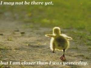 Duckling-not-there-yet-300x224